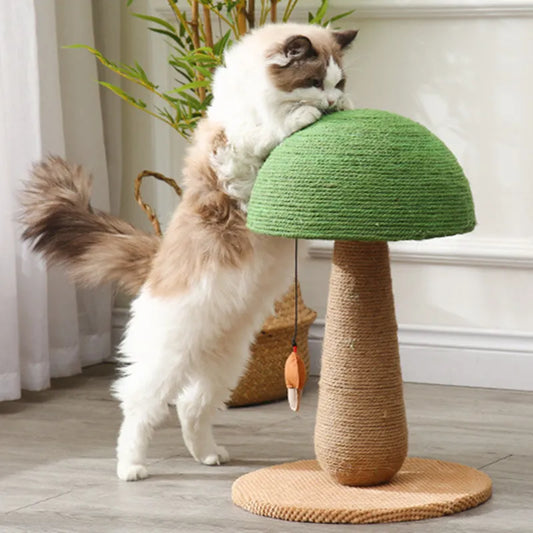 Mushroom Sisal Cat Scratching Post with Kitten Scratching the Top