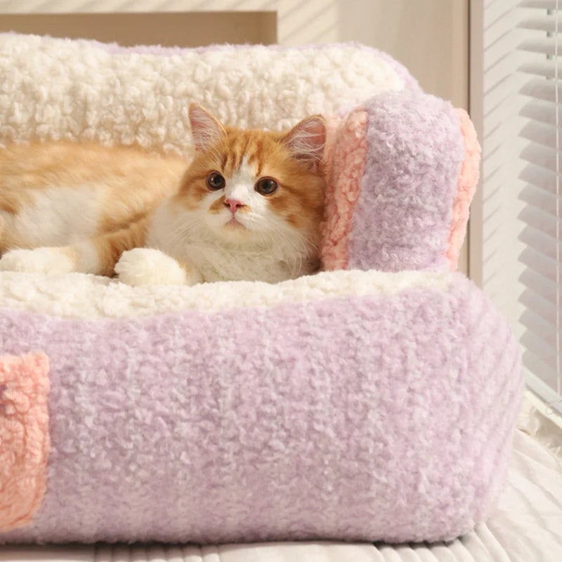 close up image of purple color Cake Sofa Cat Bed with cat lying on it