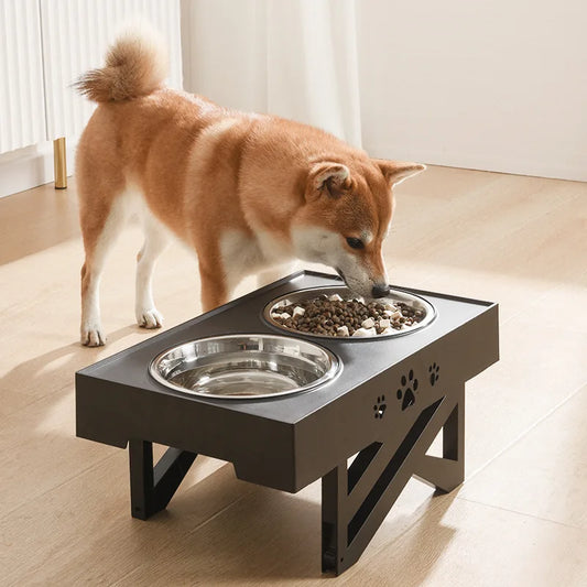 dual Stainless Steel Pet Bowl with Adjustable Stand Side Photo with dog eating