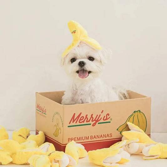 Image Showing Dog Sitting in a Box with Cute Banana Plush Dog Toy on its Head