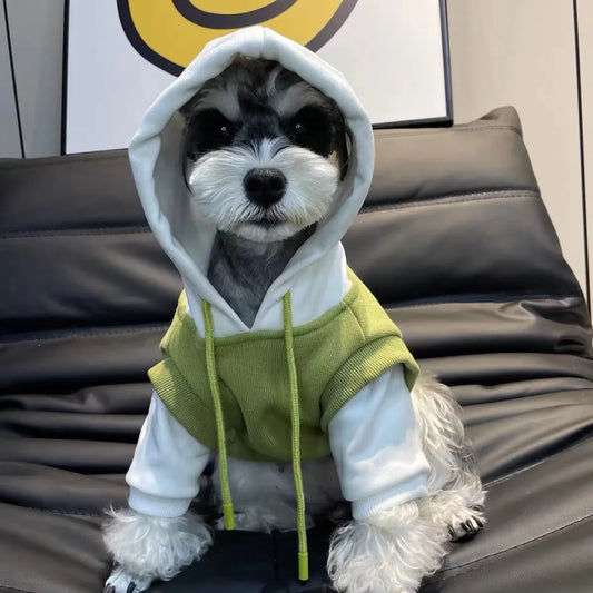 front image of dog wearing Winter Hooded Dog Jumper