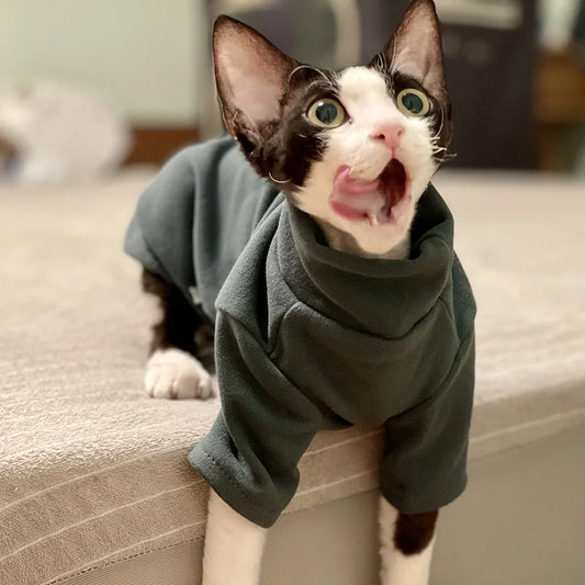 Sphynx Cat Cloth
