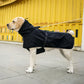 black color Outdoor Waterproof Dog Raincoat image showing dog wearing the coat