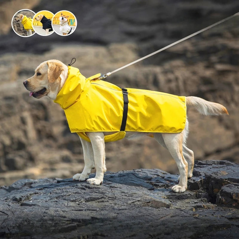 yellow color Outdoor Waterproof Dog Raincoat image showing dog wearing the coat