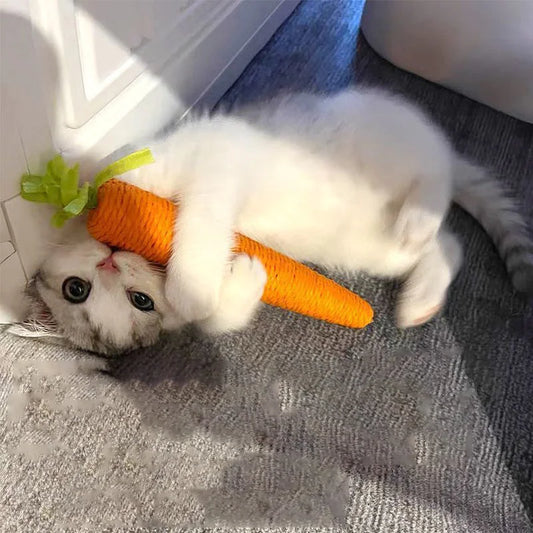 Cat Playing with Carrot Scratching Cat Toy Top Image