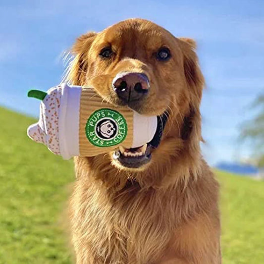 Image Showing Dog Playing Coffee Cup Squeaky Dog Toy in Mouth