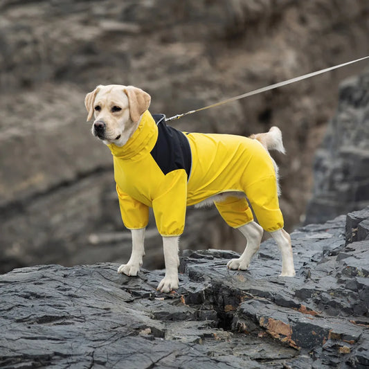 yellow color Large Dog Raincoat image