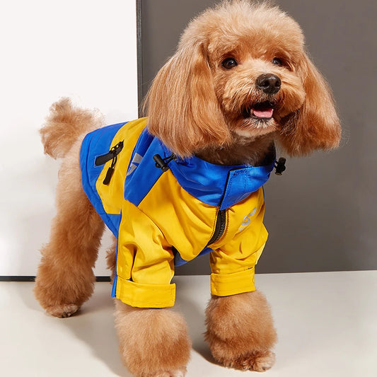 dog wearing yellow and blue color Waterproof Dog Coat front image