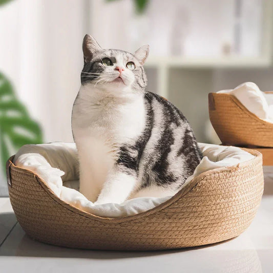 Bamboo Basket Pet Bed Front Image with Cat Sitting Inside