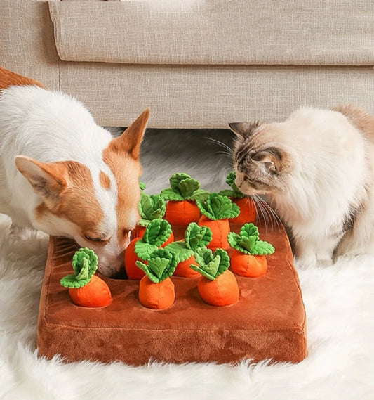 Front image showing dog and cat playing Carrots Puzzle Interactive Dog Toy