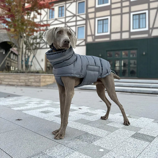 dog wearing grey color Winter Warm Dog Jacket side image