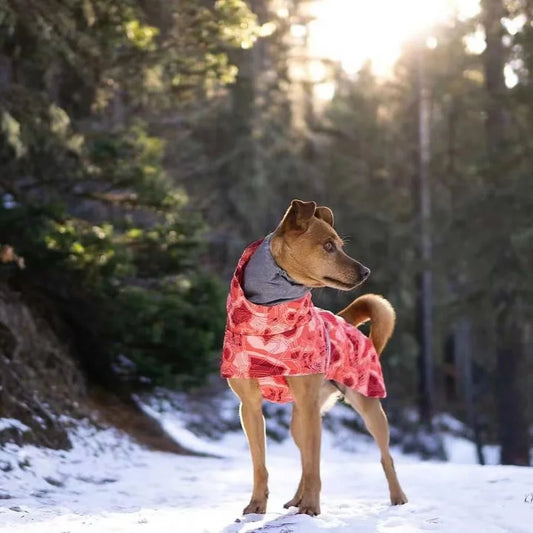 dog wearing red color Winter Dog Coat with Scarf front image