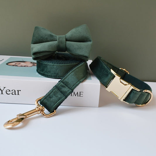 Green Bow Tie Collar and Leash front image