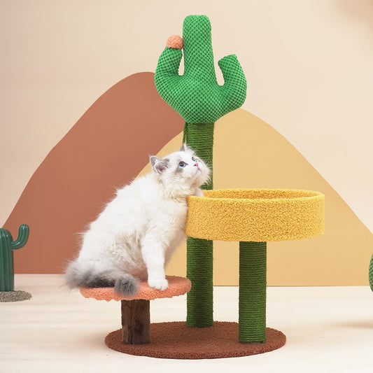 Cactus Scratching Cat Tree with Cat Bed Front Image with Cat Sitting
