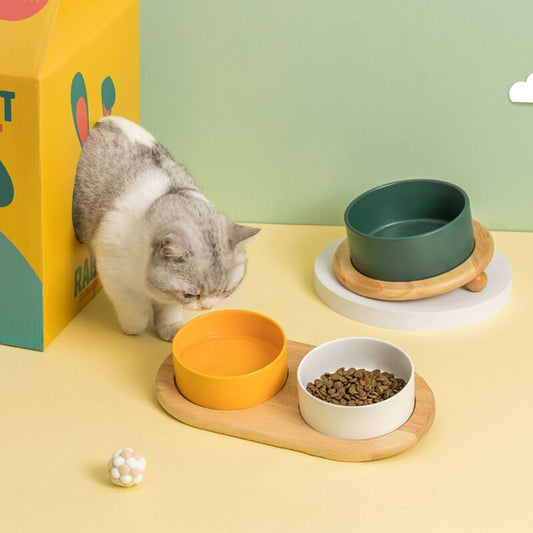 Three Premium Ceramic Pet Bowls Top Image with Cat Approaching 