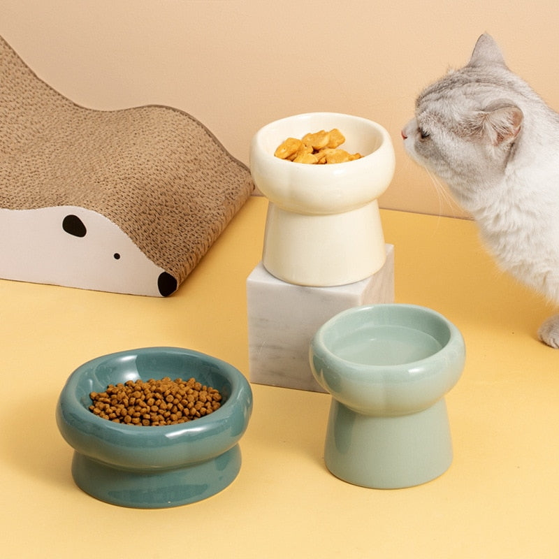 Three Ceramic Elevated Pet Bowls Front Image with Cat Beside