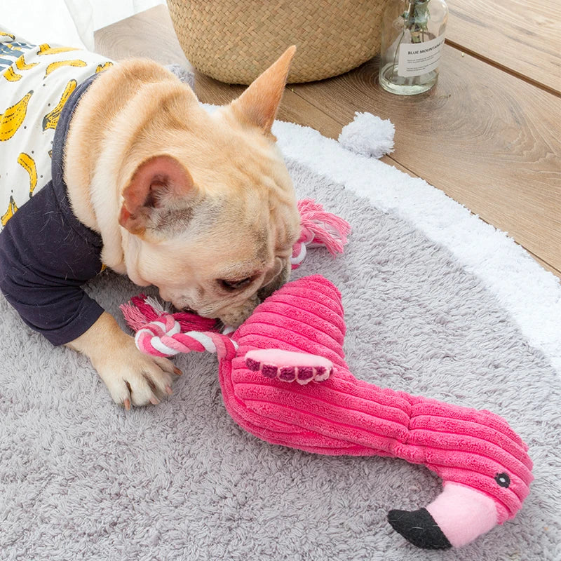 Top Image Showing Dog Playing Flamingo Squeaker Dog Toy