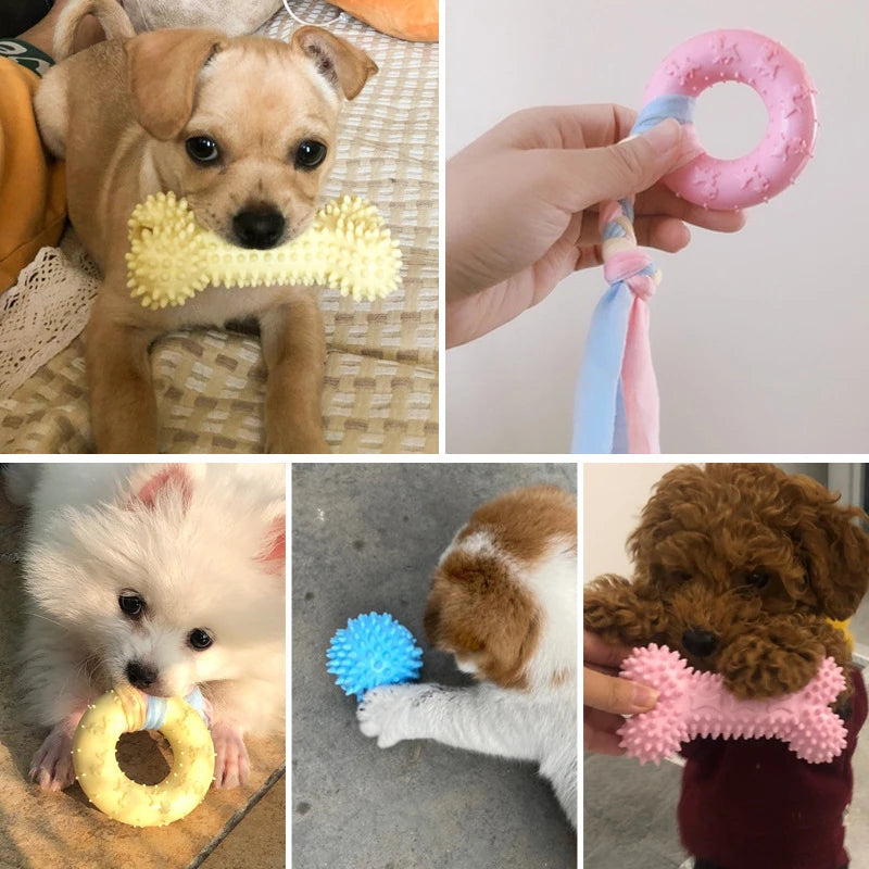 some images showing dog playing with the Rainbow Rubber Dog Chewy Toy