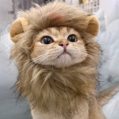 Front Image of Cat Wearing Cute Lion Head Cat Costume