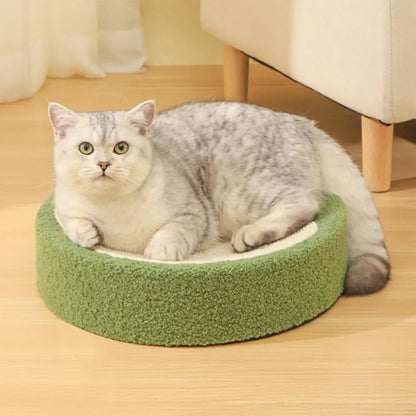 front image of cat lying on the green Cute Cat Bed with Sisal Scratching Surface