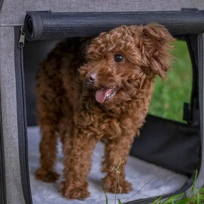 close up image of Waterproof Travel Pet Carrier With Rolling Door with dog inside