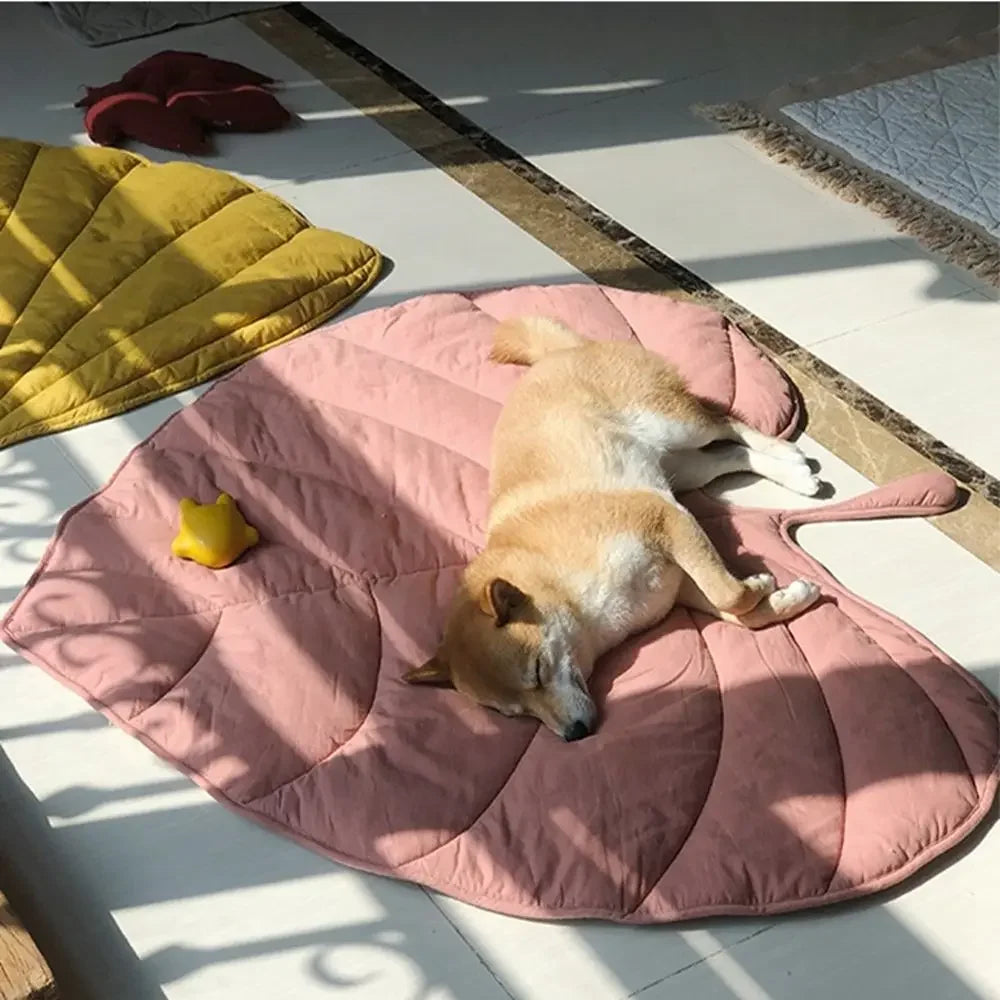 top image of pink color Leaf Shape Pet Blankets with dog sleeping