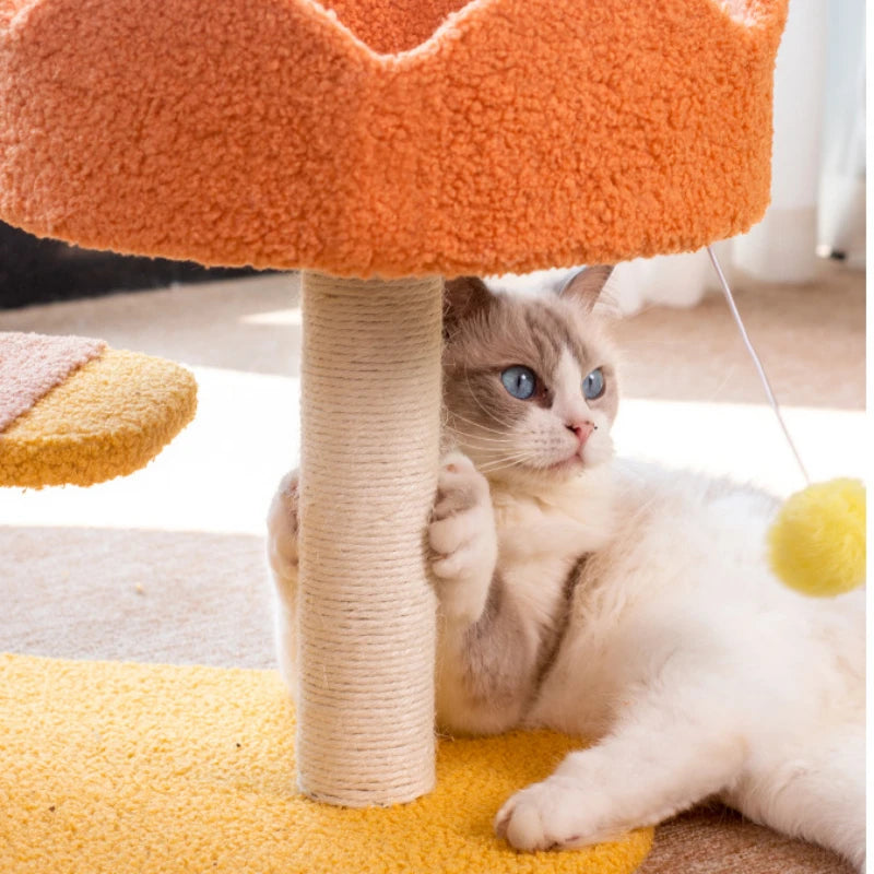 close up image showing cat playing the Honey Bee Cat Bed with Sisal Scratching Pad