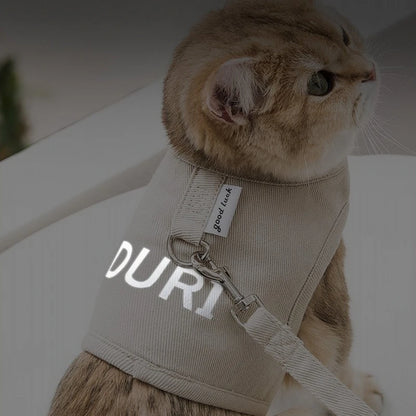 Image Showing the Khaki Color Reflective Cat Vest Reflective Strap in the Dark