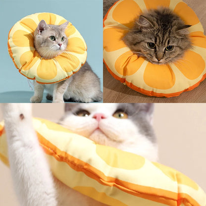 images of cat wearing Orange Adjustable Surgery Recovery Cat Collars