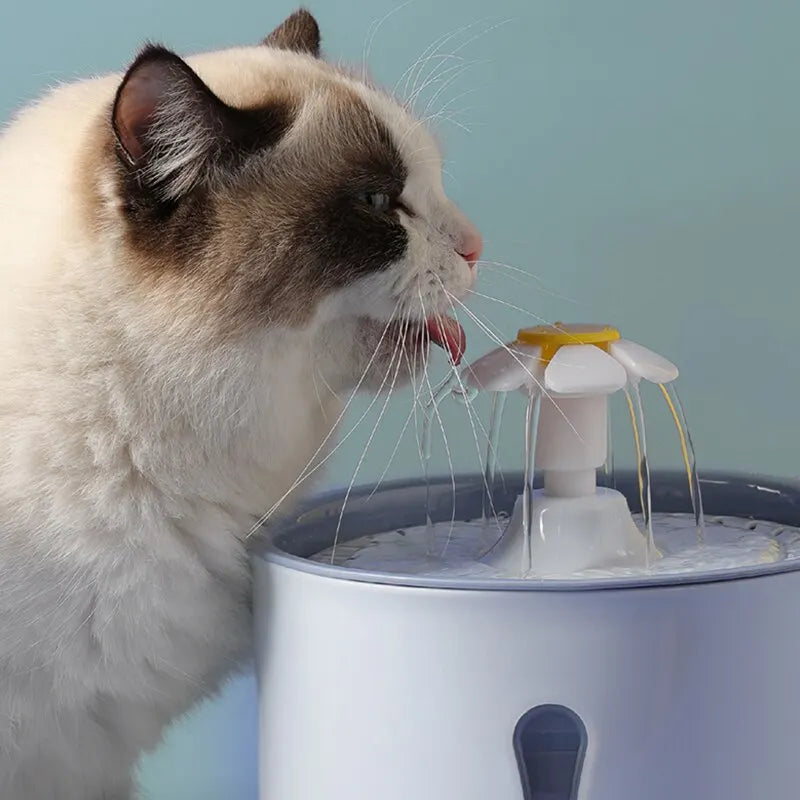 Intelligent Automatic Cat Water Fountain Close Up