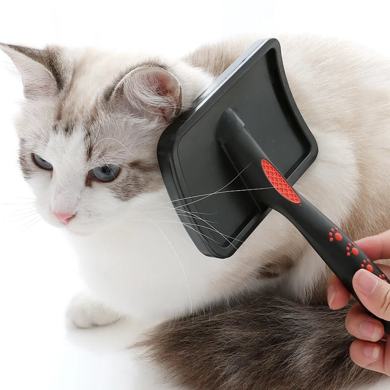 image showing using Pet Hair Removal Message Brush on a cat