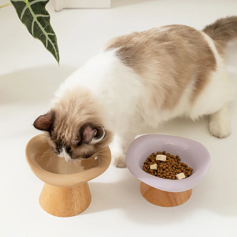 top image showing cat drinking from the Wooden Tilted Raised Cat Bowl 