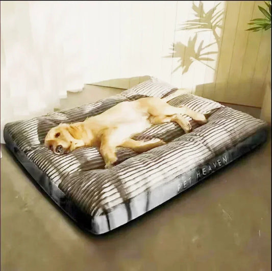 Grey Color Oversized Dog Sleeping Cushion Top Image with Dog Sleeping 