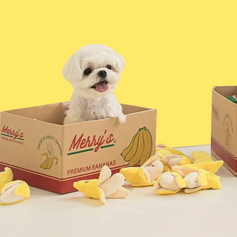 Image Showing Dog Sitting in a Box with Cute Banana Plush Dog Toy Outside
