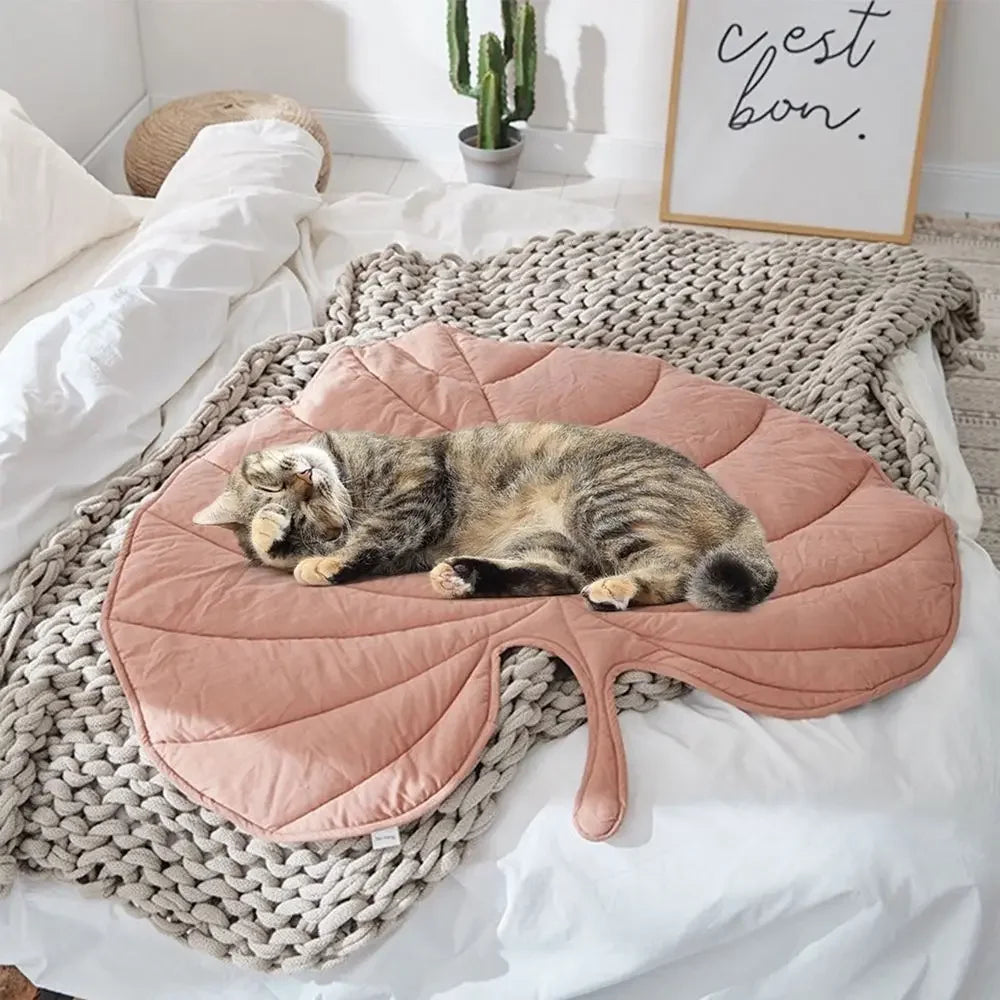 top image of pink color Leaf Shape Pet Blankets with cat sleeping