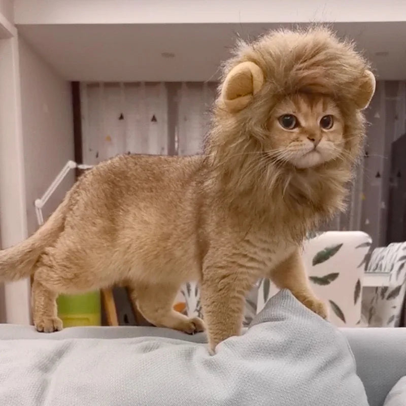 Image Showing Cat Wearing Cute Lion Head Cat Costume and Walking on Sofa