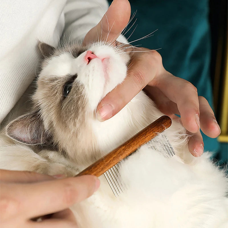 image showing using Stainless Steel Pet Hair Comb on a cat