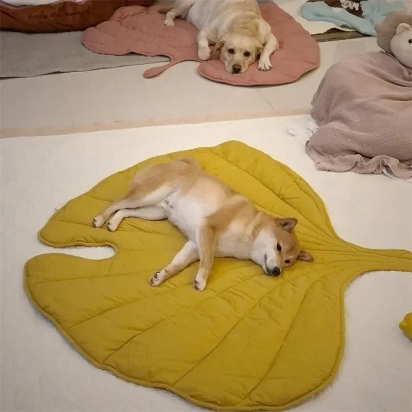 top image of yellow color Leaf Shape Pet Blankets with dog sleeping