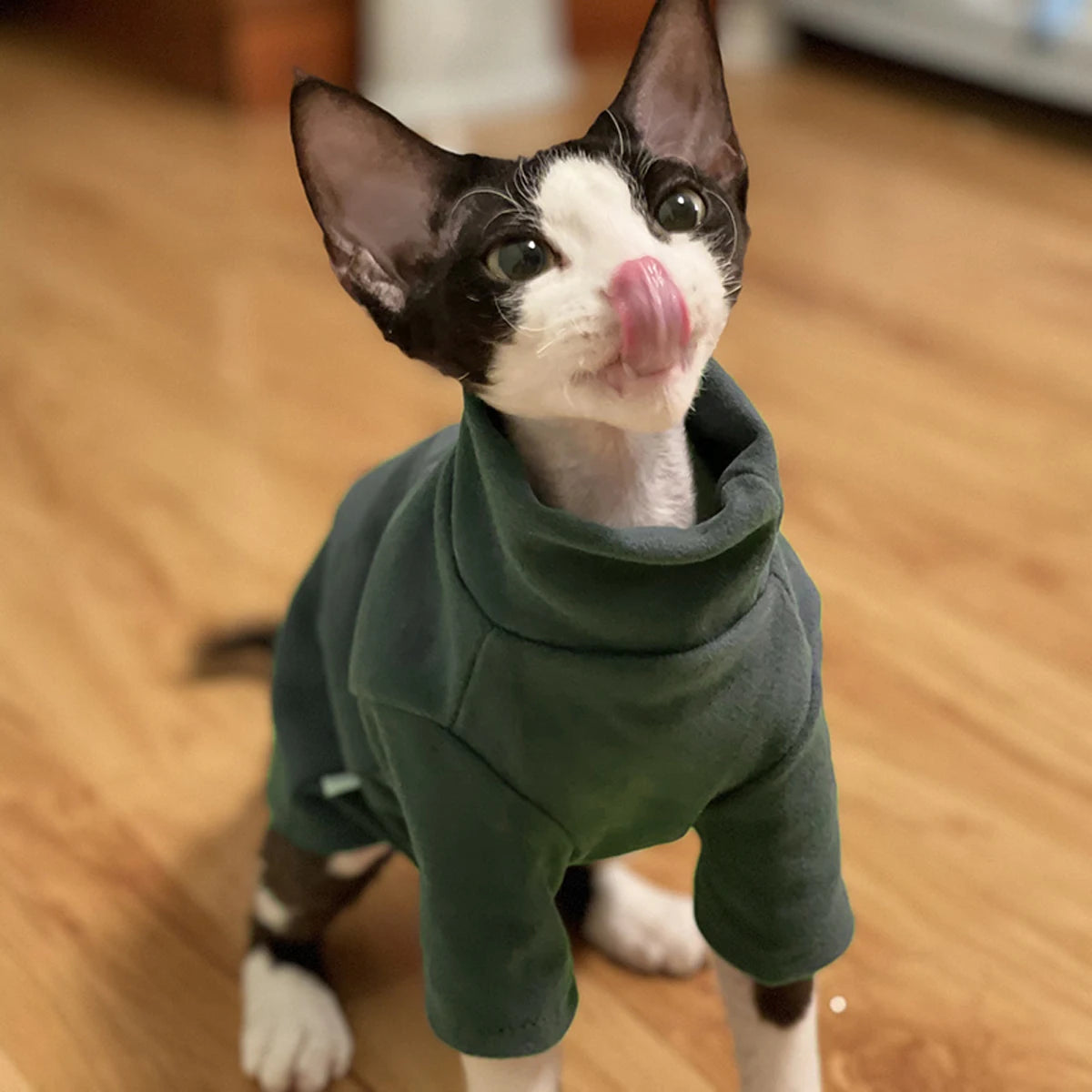 front image of cat wearing grey color Soft Cotton Cat Cloth