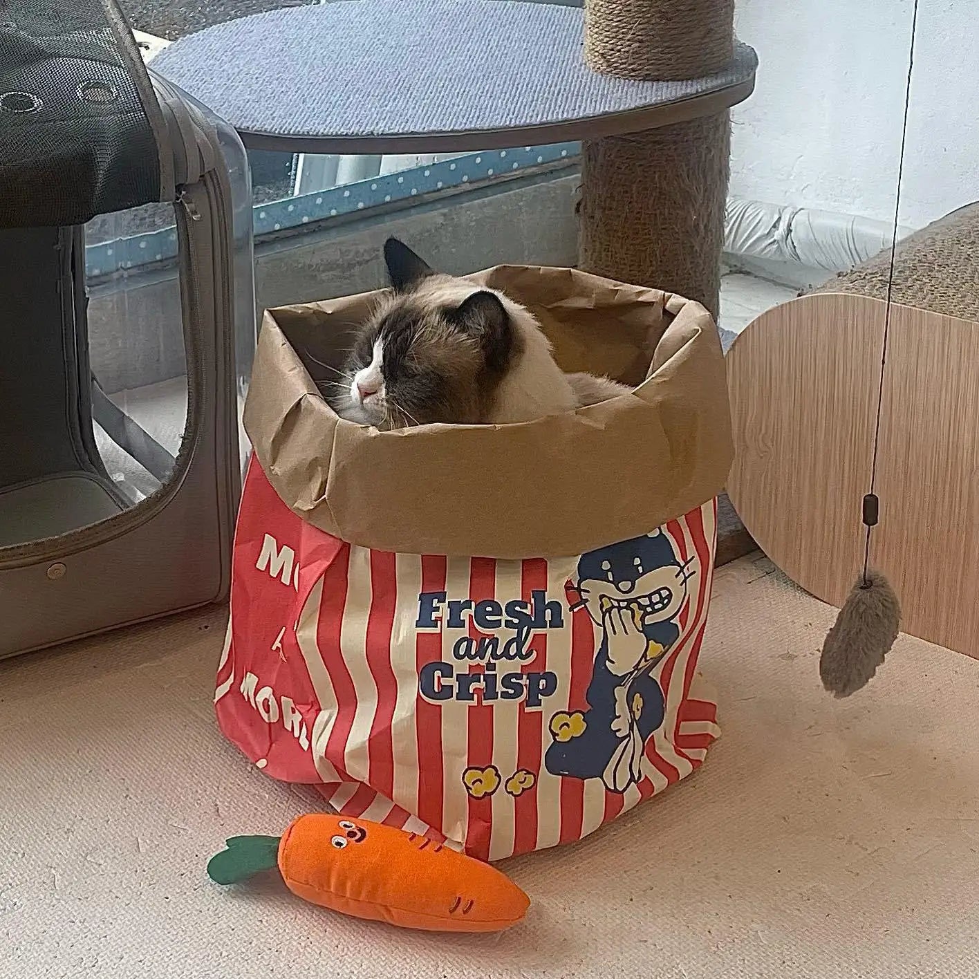 Popcorn Bag Pet Interactive Toy with Cat Hiding in the Bag