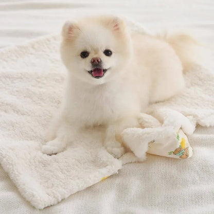 front image showing dog sitting on the Winter Warm Dog Blanket