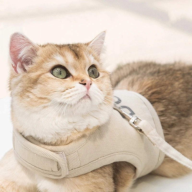 Close Up Image Showing Cat Wearing the Khaki Color Reflective Cat Vest with Leash