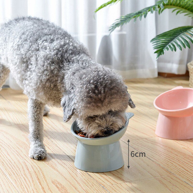 Elevated Pet Bowl front image with dog eating