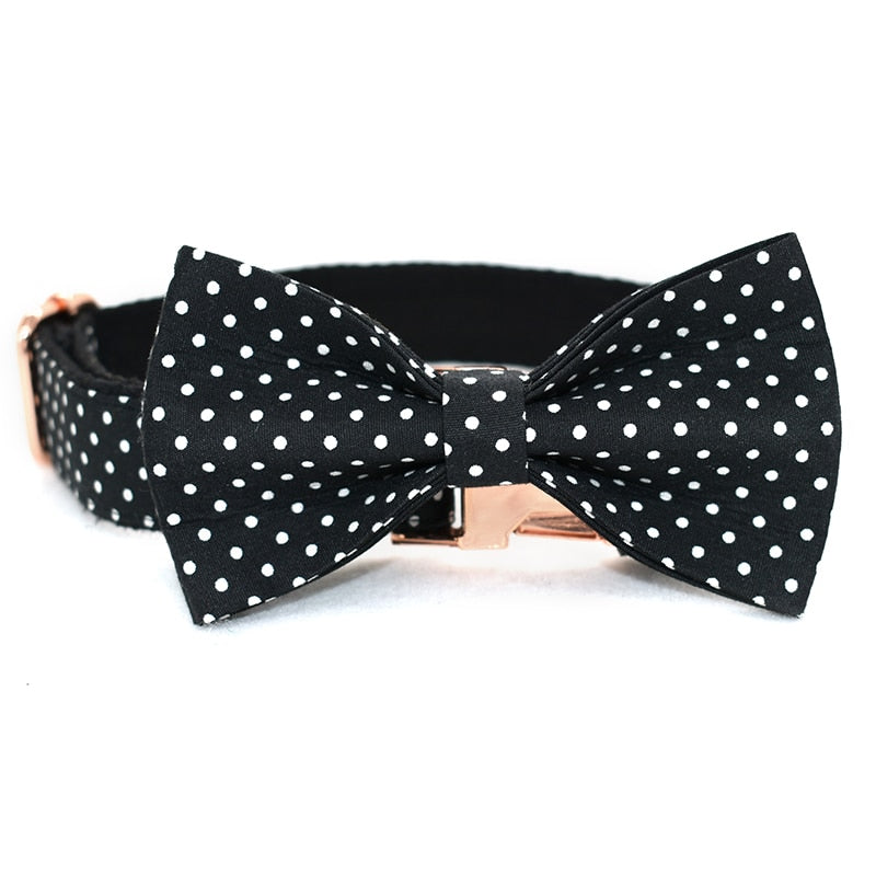 Dots Bow Tie Collar front image