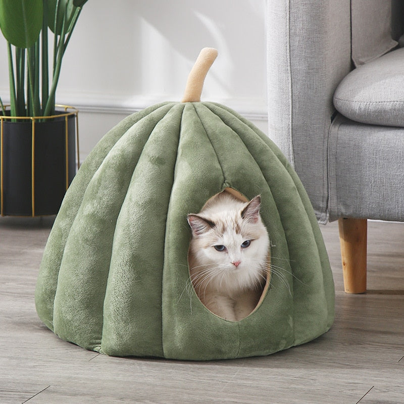 front image of green color Enclosed Pumpkin Cat Bed with cat inside